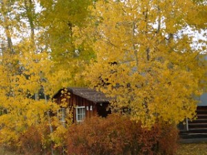 The Day homestead - our disappearing history