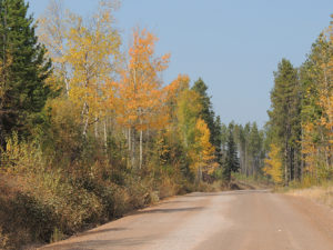 North Fork Road in Fall - USFS