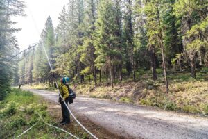 A firefighter soaks down the vegetation on the south side of the Hay Creek Road - Chris Peterson