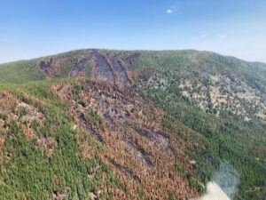 East side of Hay Creek Fire showing a mix of burned and unburned areas on August 12, 2021 - USFS