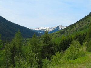 Hay Creek Drainage, June 5, 2020 - W K Walker