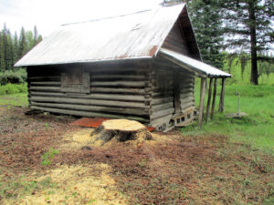 Ford Schoolhouse after tree removal