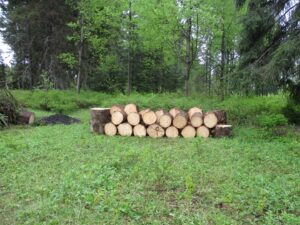 Ford Schoolhouse tree removal - wood stack