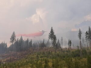 An airtanker making a run on the Weasel Creek wildfire, August 12, 2022 - BC Wildlife Service (Canada)