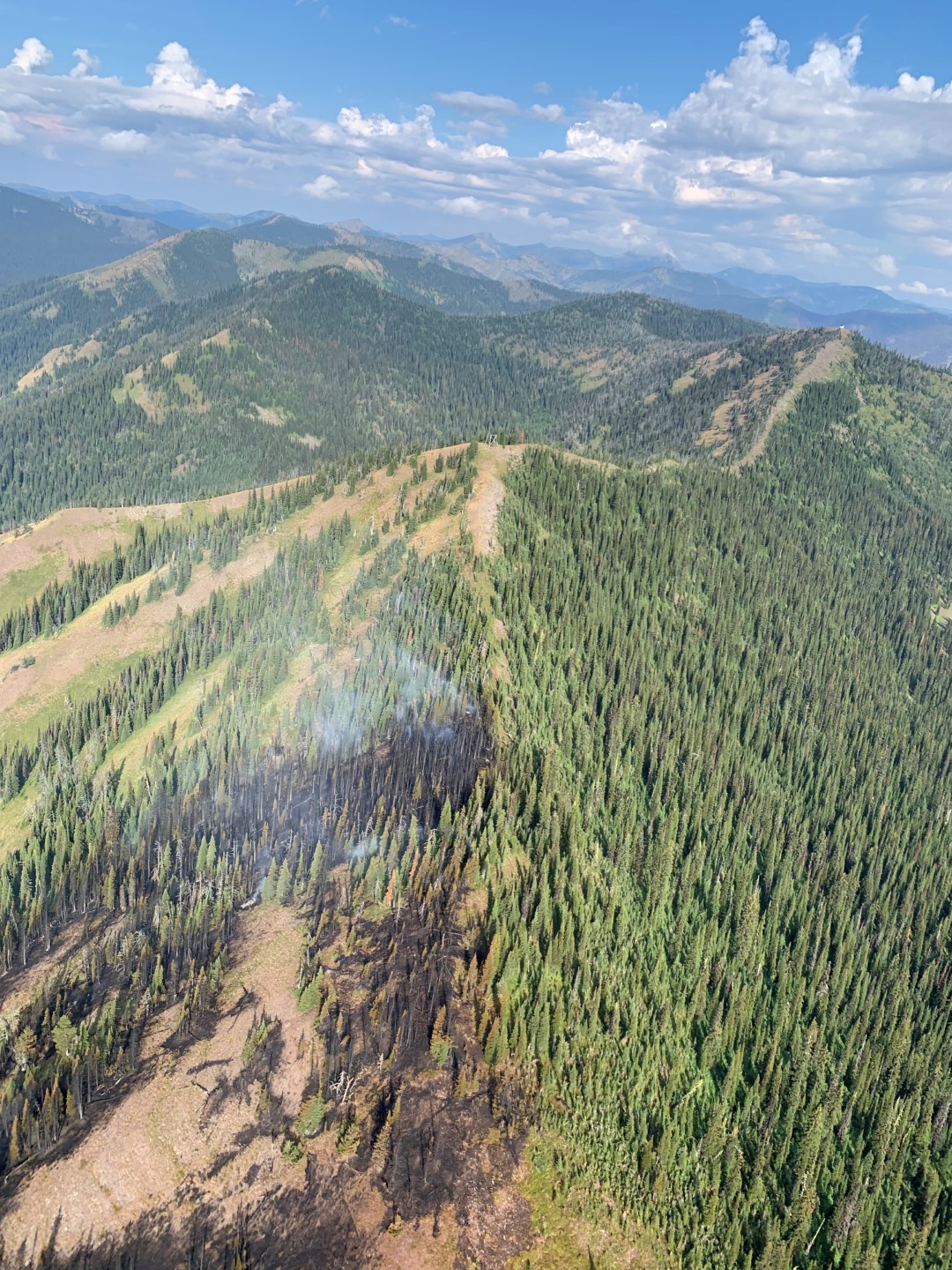 Coal Ridge Fire - view from south along ridgetop, August 24, 2022 - USFS