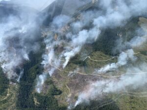 East flank of Weasel Creek fire, August 13, 2022 - BC Wildlife Service (Canada)
