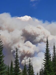 Weasel Fire - Smoke Column, August 4, 2022 - USFS