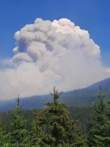 Weasel Fire - Smoke Column, August 4, 2022 - USFS