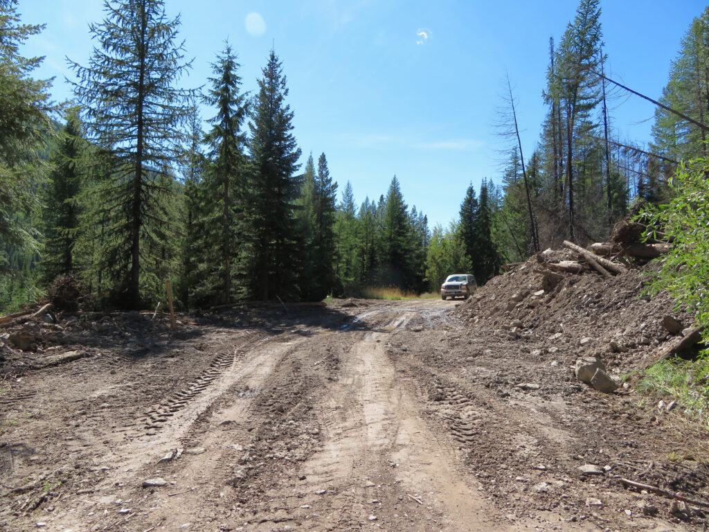 Hay Creek Rd Mile 8 Slump, looking west, August 30, 2024 - W. K. Walker