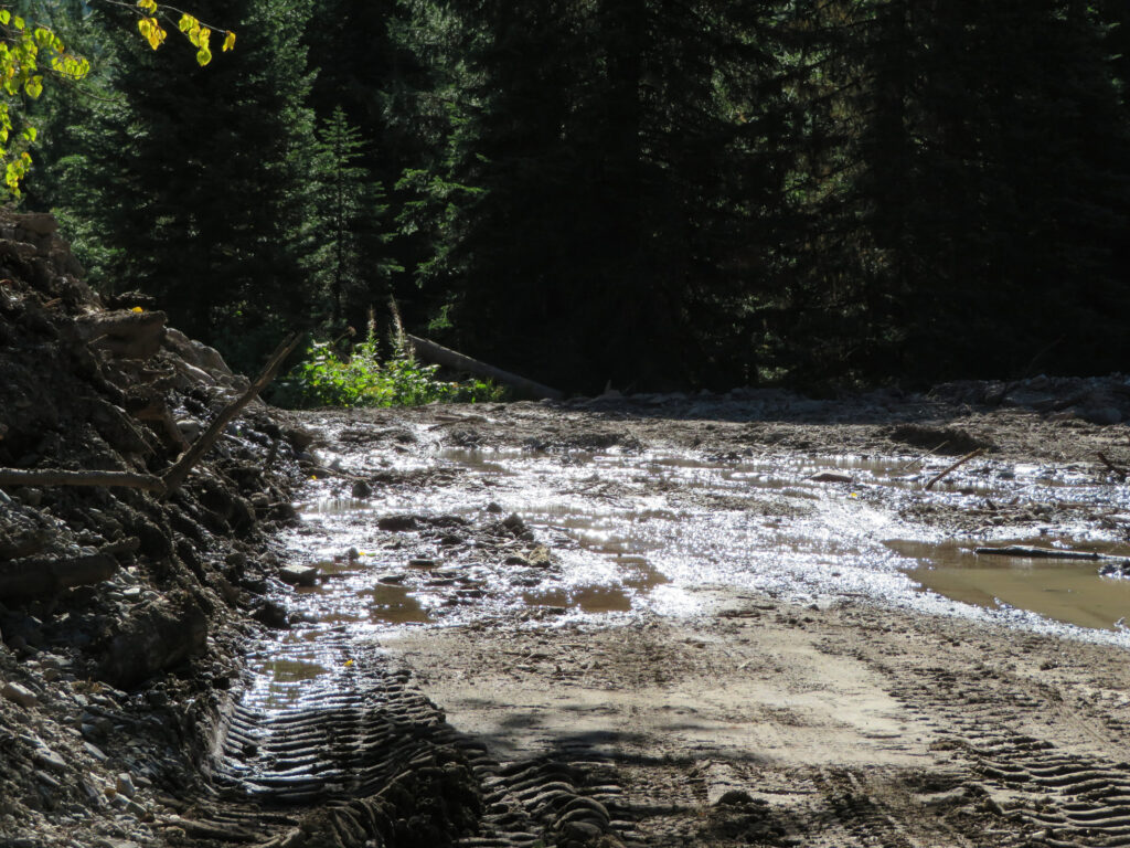 Hay Creek Rd Mile 9 Slump, water seepage, looking east, August 31, 2024 - W. K. Walker